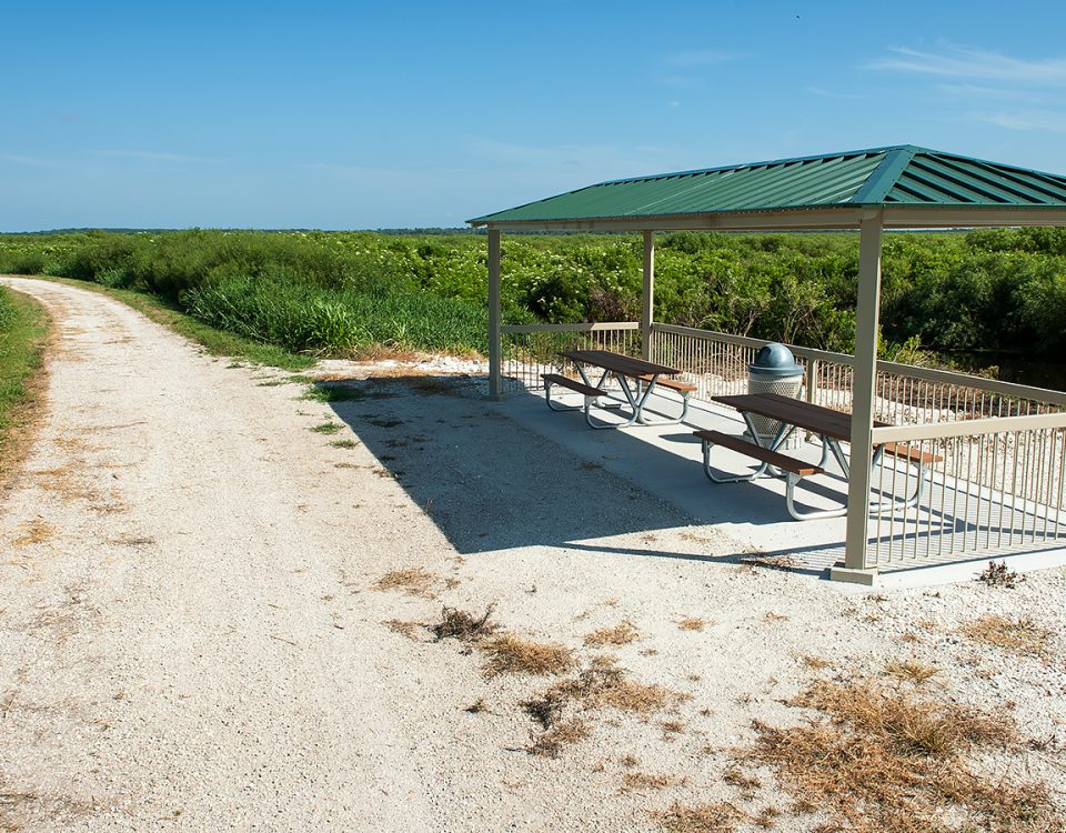 Lake apopka north shore trail on a sunny day