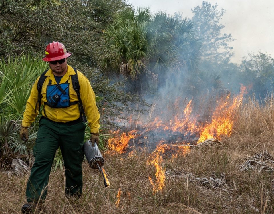 Fort Drum prescribed fire