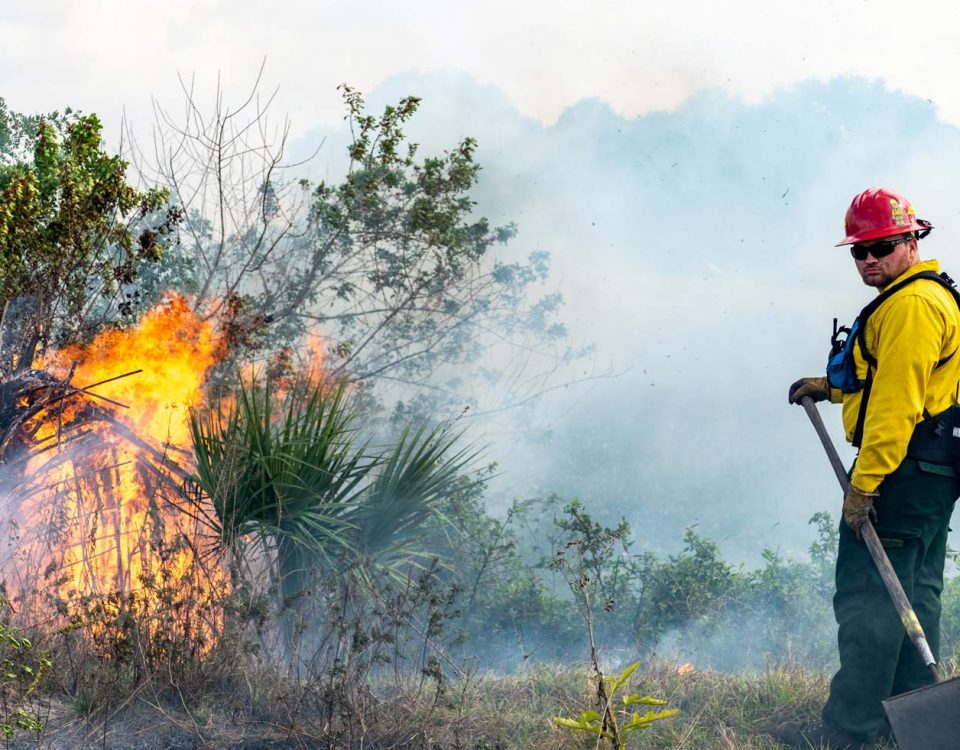 District employee inspecting a prescribed fire