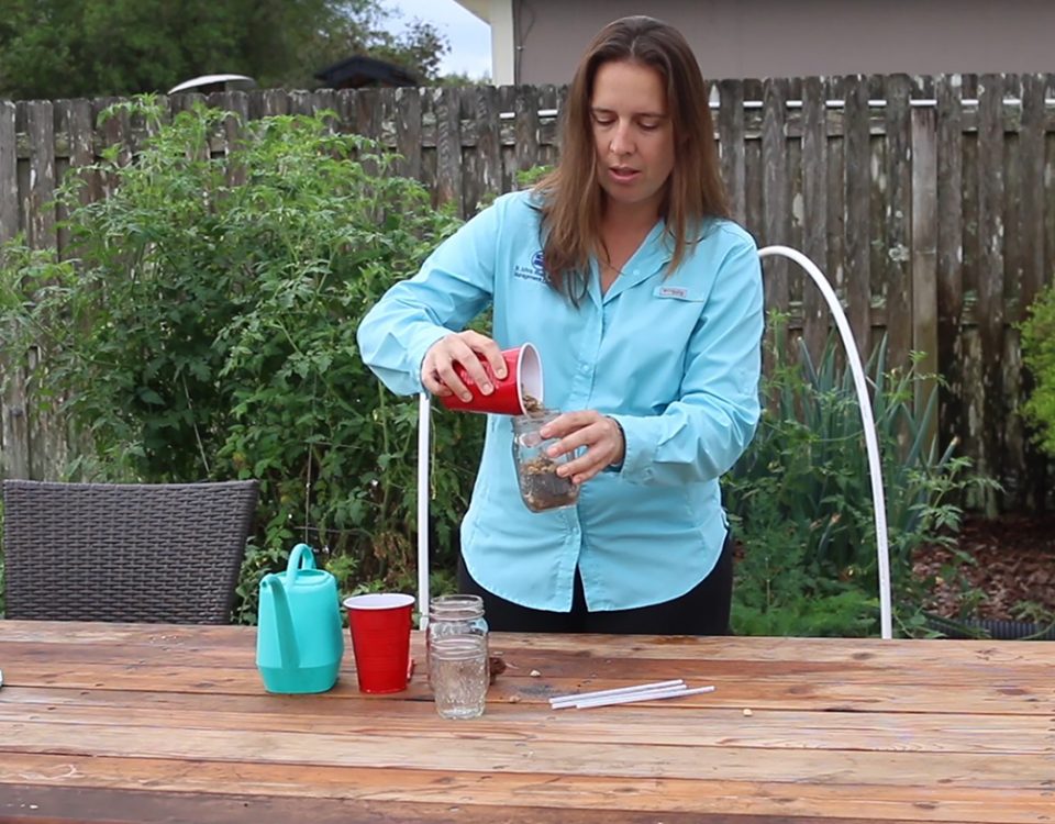 Jennifer Mitchell sowing a demonstration