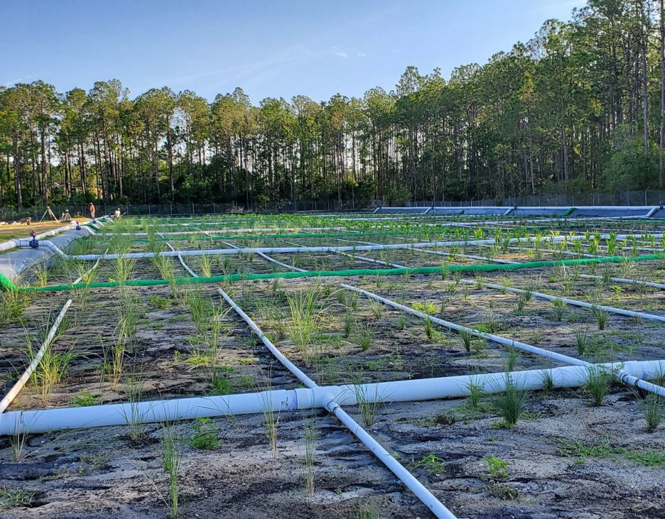 Plastic pipes laying in a grid pattern