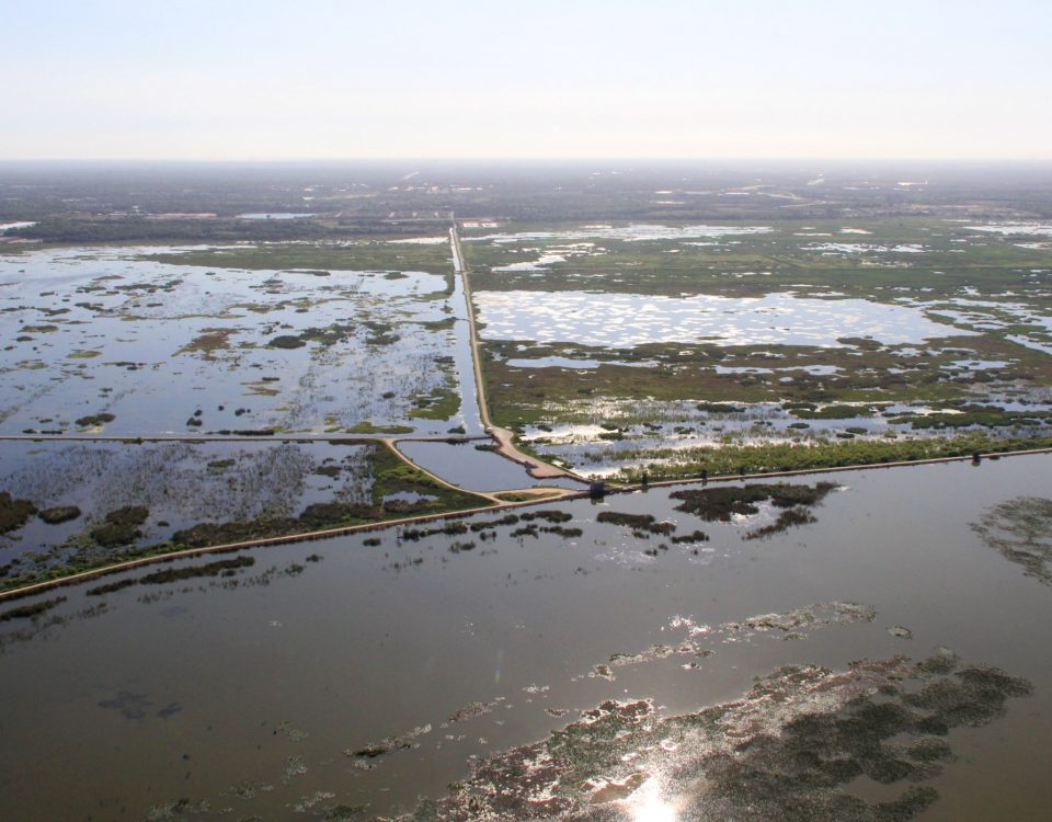 Water levels at the Lake Apopka North Shore in April 2020