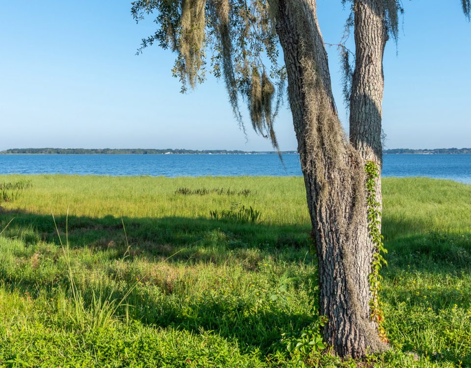 Lake Minneola