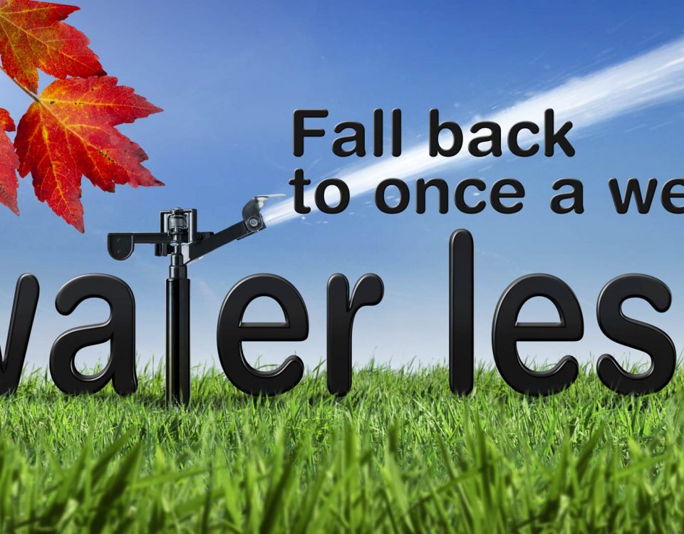 District's Fall Back campaign