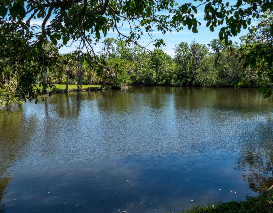 Calm waters at Crane Creek