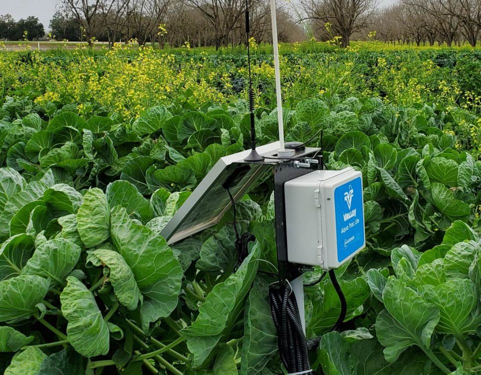 soil moisture sensor in a farm