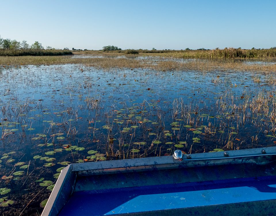 Airboat on a marsh