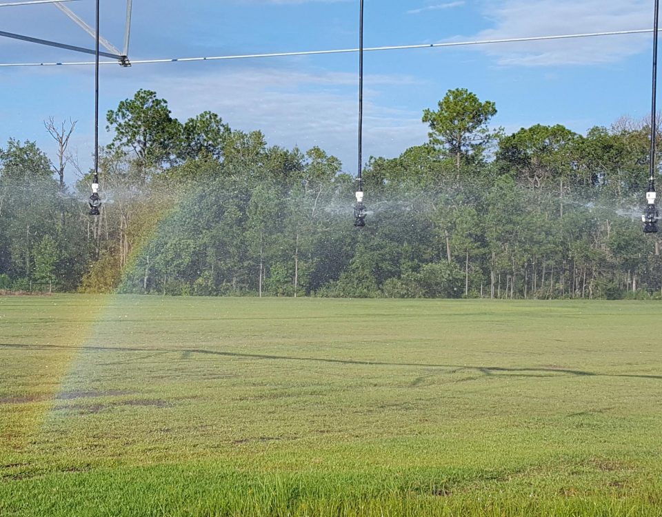 A small rainbow on a farm field