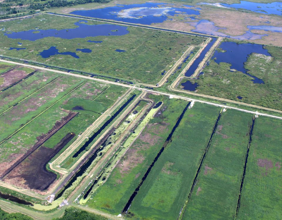 Aerial view of Lake Apopka Marsh Flow-Way