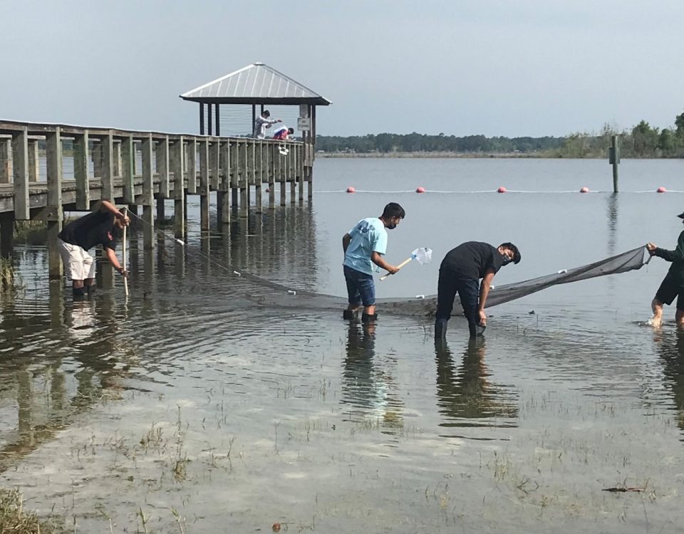 Students seining at a shore