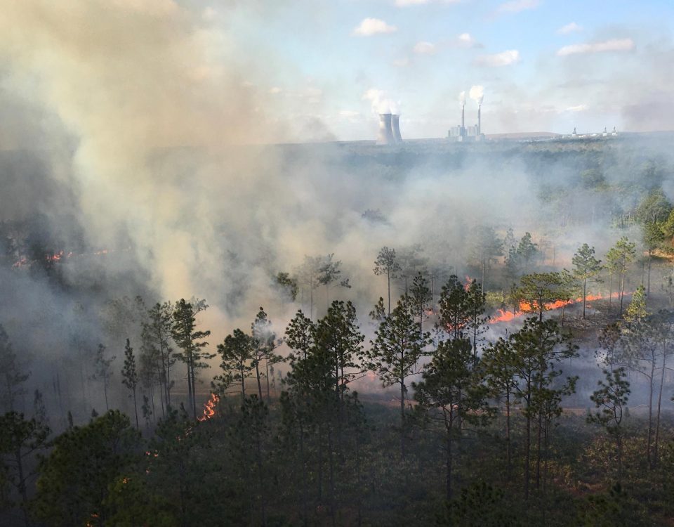 Photo of an aerial burn