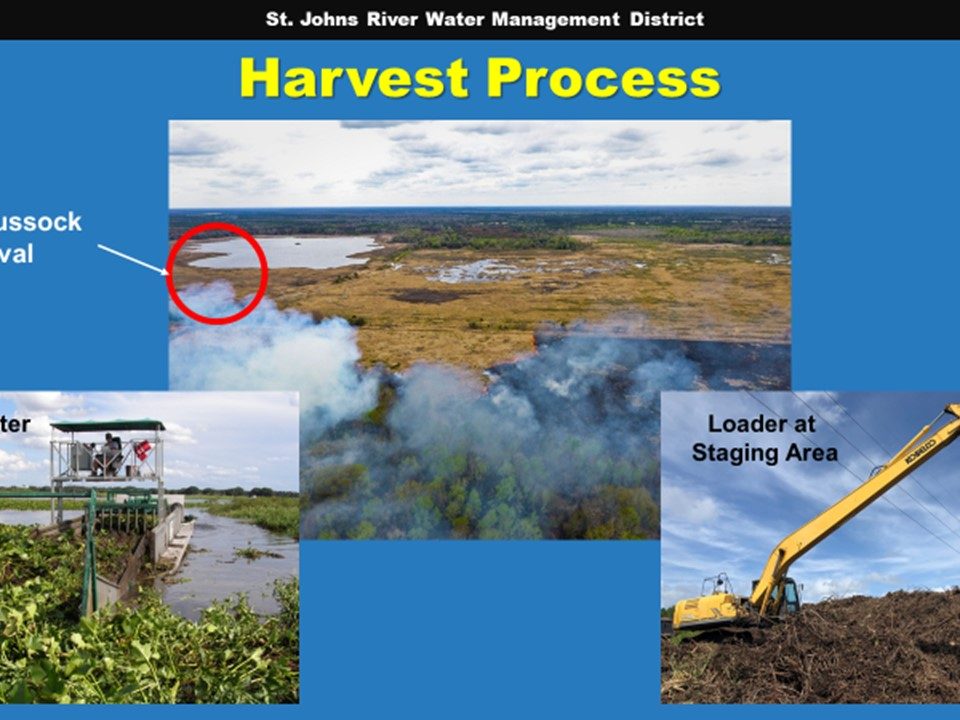 Orange Creek mechanical harvest Powerpoint slide