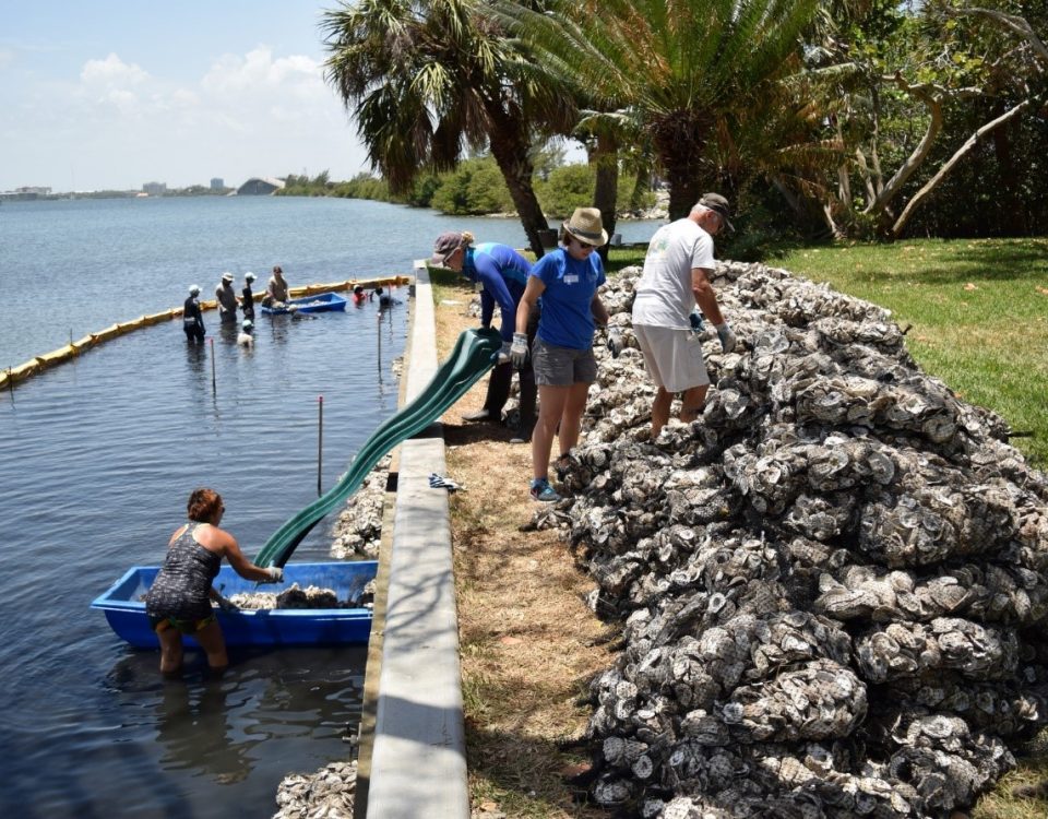 District employees working at a river shore