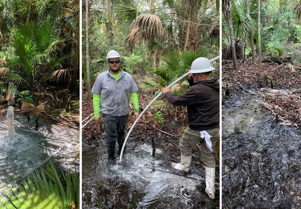 Free-flowing artesian well being filled