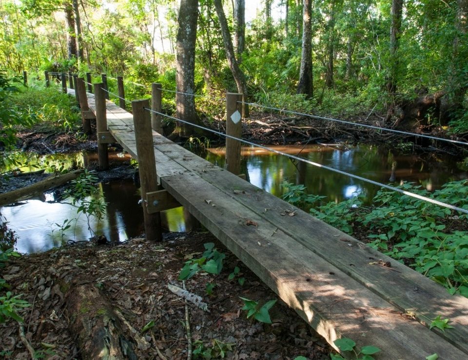 Footbridge at Dunns Creek Conservation Area