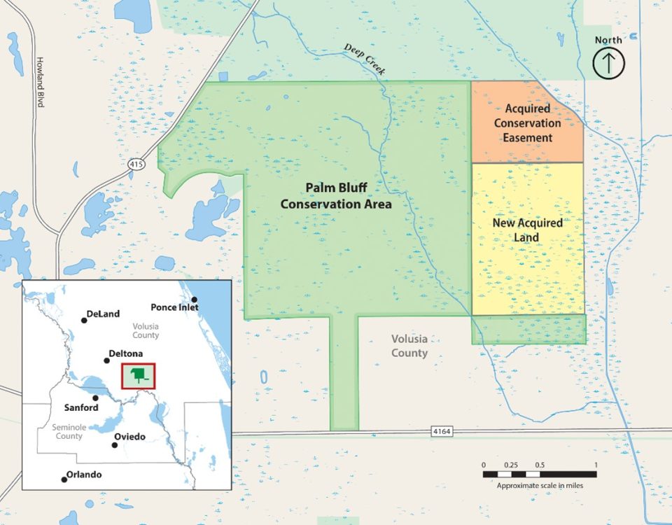 Map of Palm Bluff Conservation Area