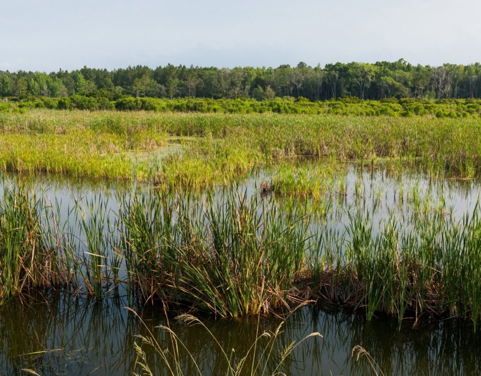 View of Deep Creek front the shore