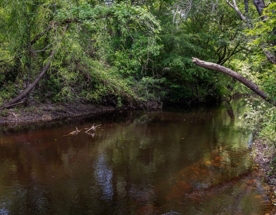 Black Creek shore