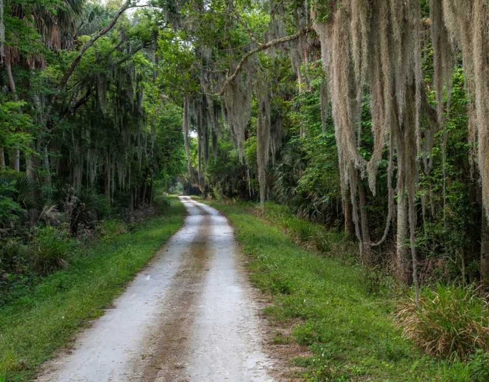 Emeralda Marsh Conservation Area is re-opened for public use, including for scouting and hunting.