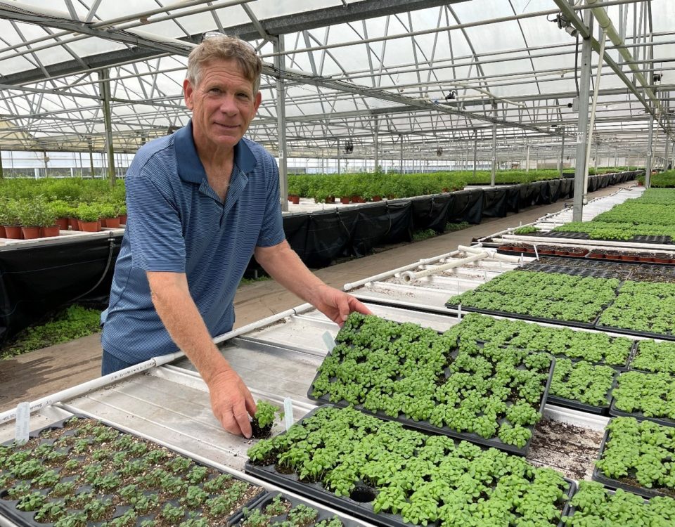 Bruce Cobb pictured in his greenhouse