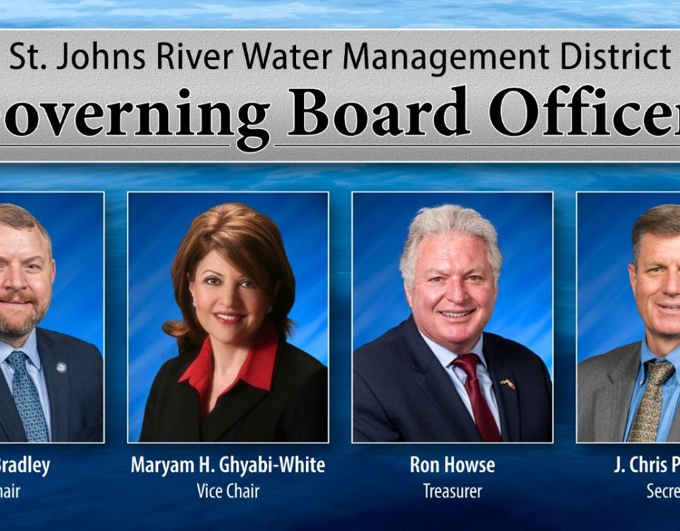 4 governing board members