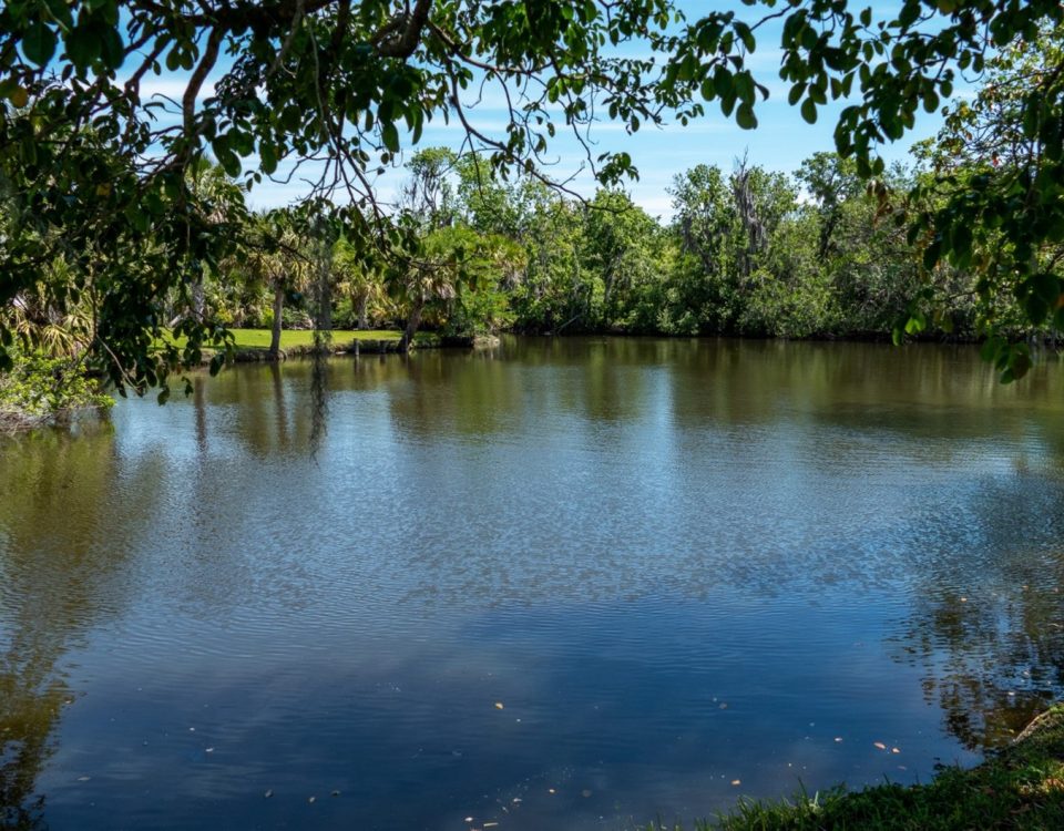 Crane Creek from the shore