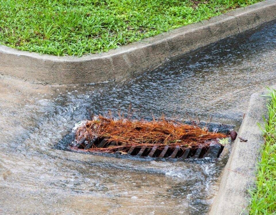 Storm drain filling with pine needles