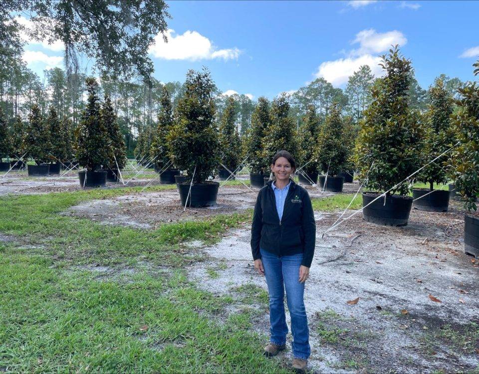 Tracy Rivera standing in a young grove