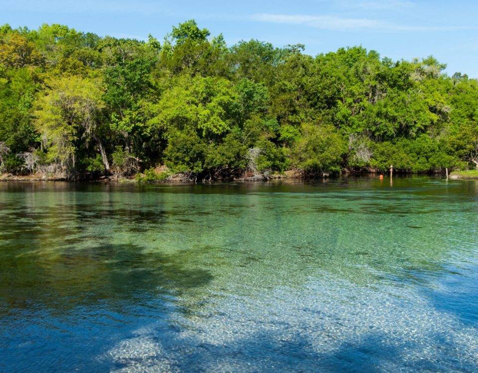 Clear spring water