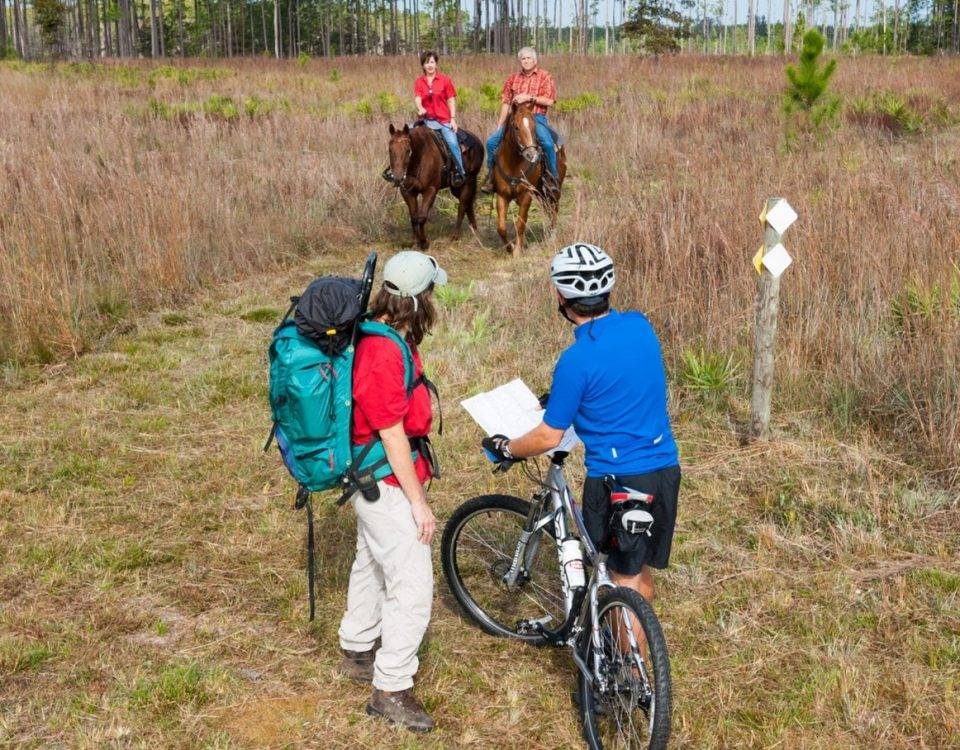 Two people horseback riding and others biking