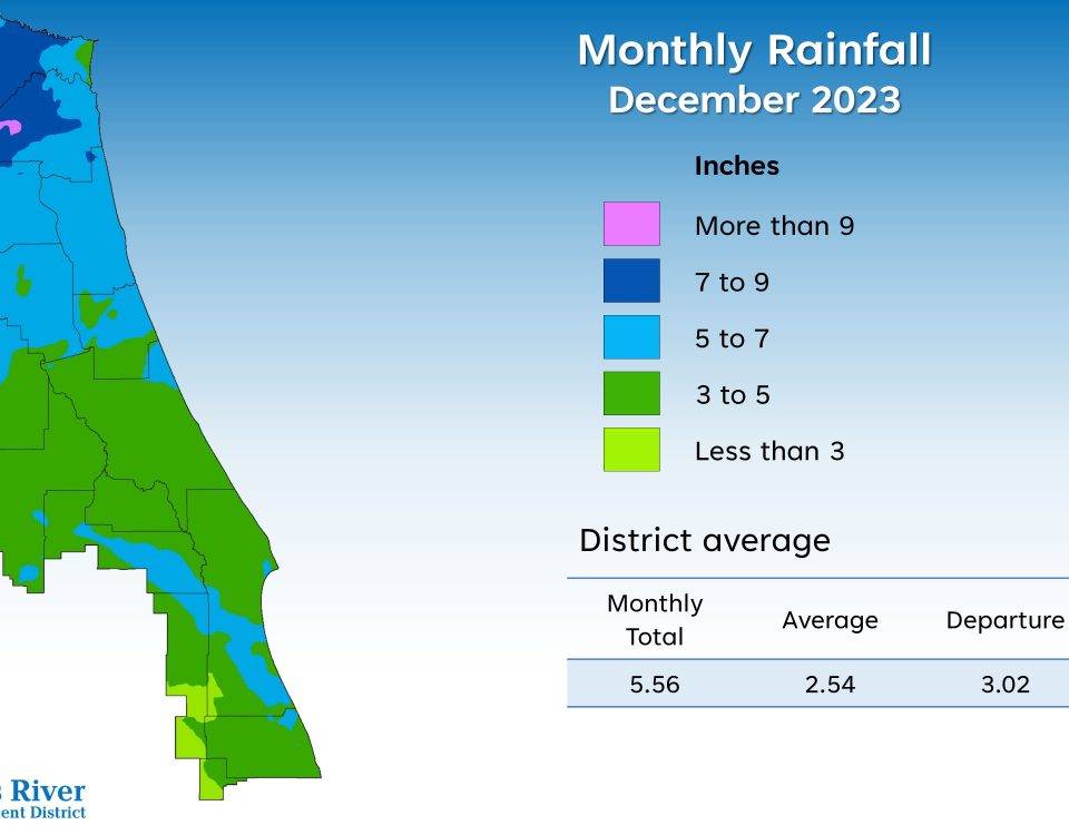 Monthly rainfall December 2023