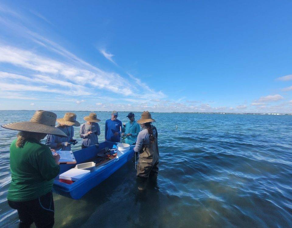 Six District employees working in a water body