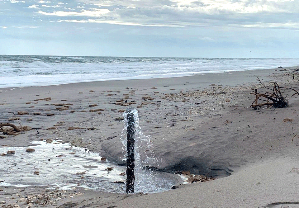 flowing artesian well