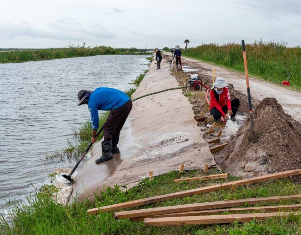 Workers working at a shoreline