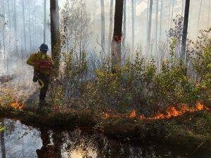 Small fire near a creek