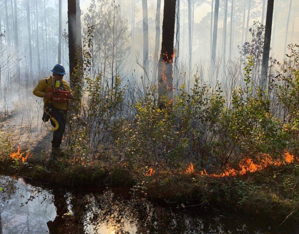 Small fire near a creek