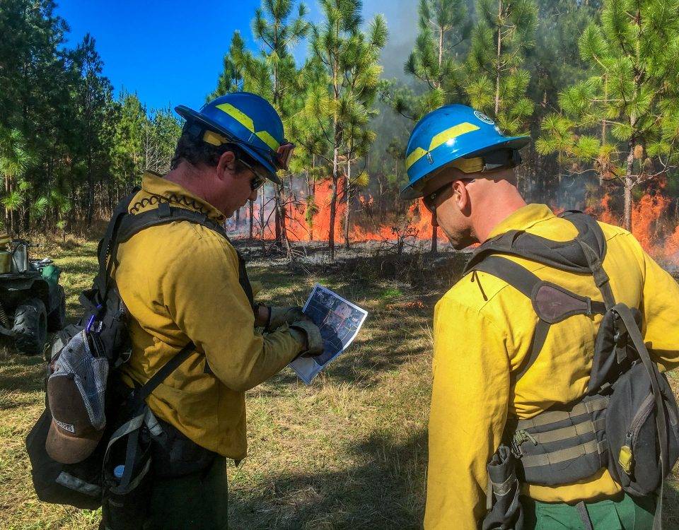 2 men looking on a map