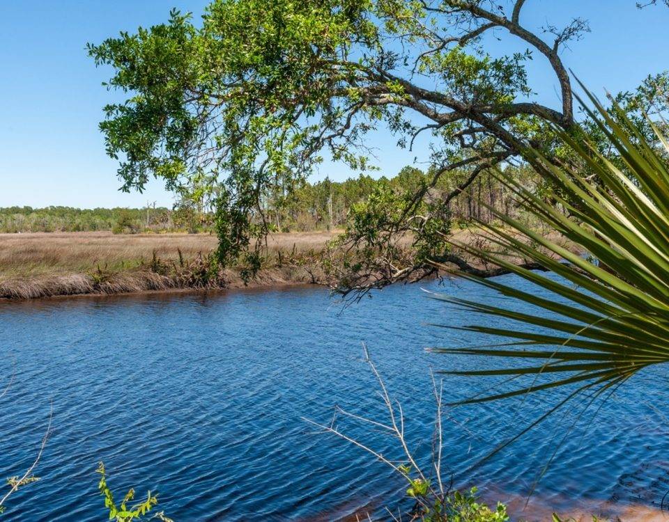 View of calm water in a creek