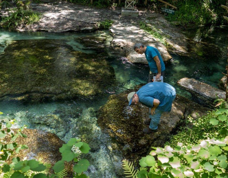 Two men inspecting a spring