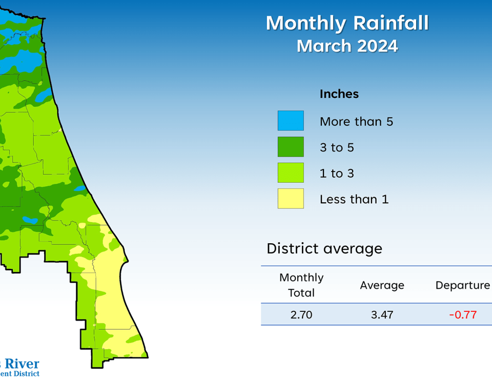 Rainfall information for March 2024