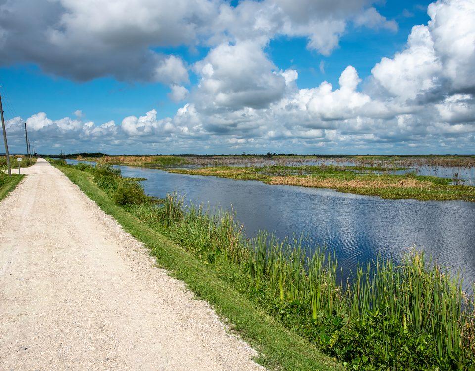 Lake Apopka Wildlife Drive stretching out next to open water