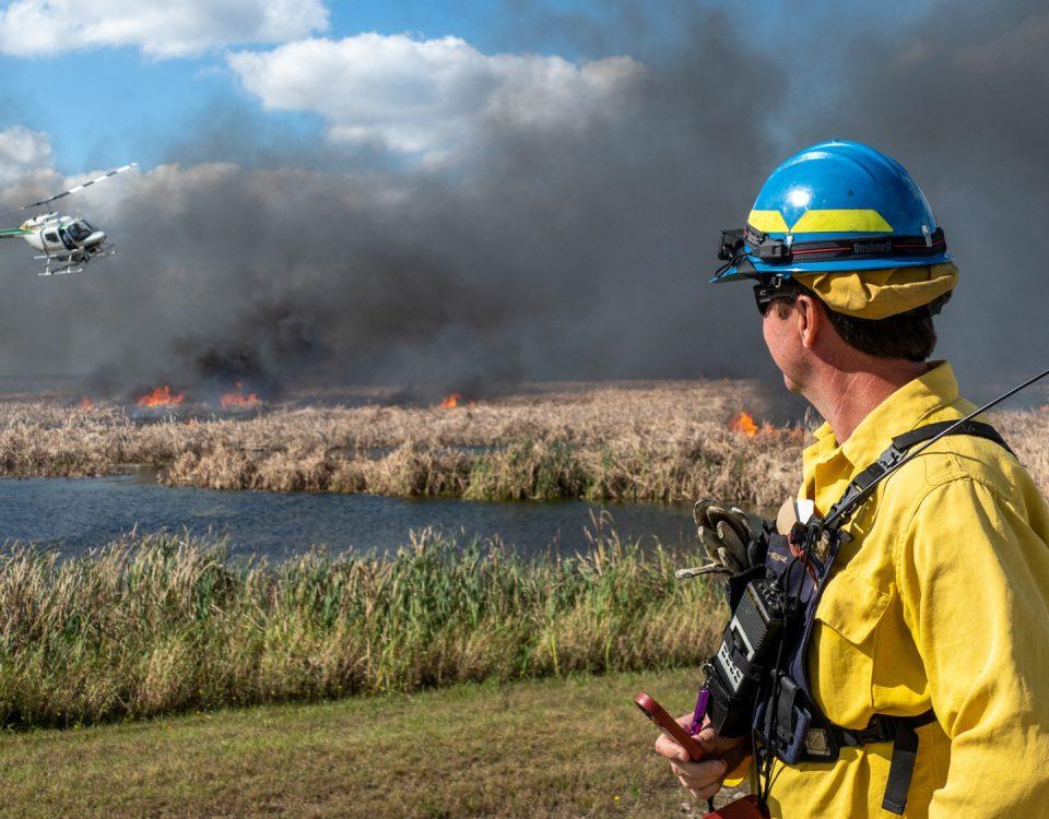 A land manager watching a helicopter ignite a prescribed fire in a marsh