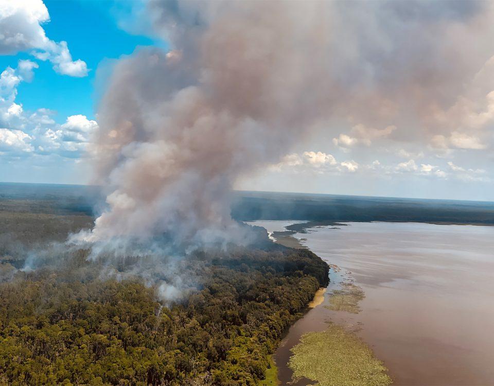 Aerial view of a prescribed fire along the edge of a large lake