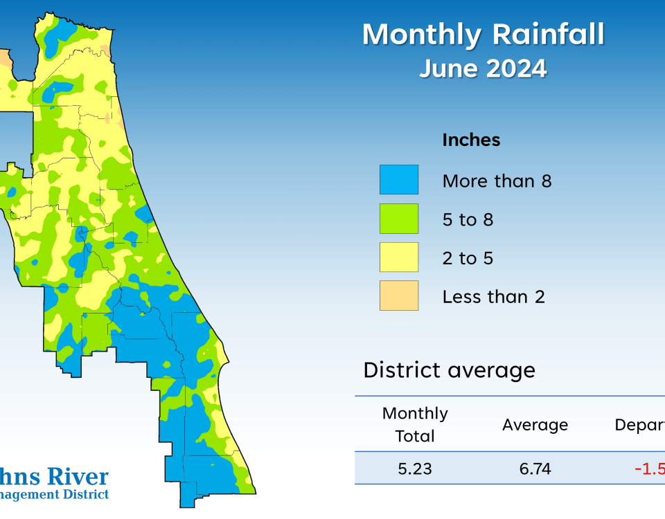 Map with monthly rainfall for June 2024